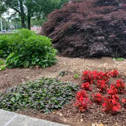 Calhoun City Park - Calhoun