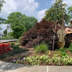 Calhoun City Park - Calhoun