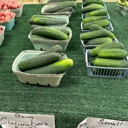 Calhoun Farmers Market - Calhoun