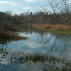 Lake Calhoun - Calhoun