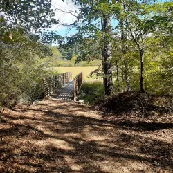 Resaca Battlefield State Historic Site - Calhoun