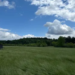 Resaca Battlefield State Historic Site - Calhoun