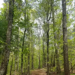 Resaca Battlefield State Historic Site - Calhoun
