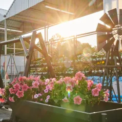 The Garden Center at Calhoun - Calhoun