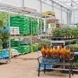 The Garden Center at Calhoun - Calhoun