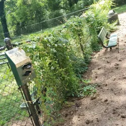 Carrollton City Park - Carrollton