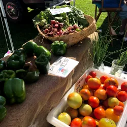 Carrollton Farmers Market - Carrollton