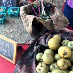Carrollton Farmers Market - Carrollton