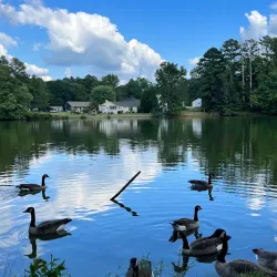 Carrollton GreenBelt - Carrollton