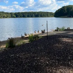 Carrollton GreenBelt - Carrollton