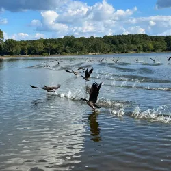 Carrollton GreenBelt - Carrollton