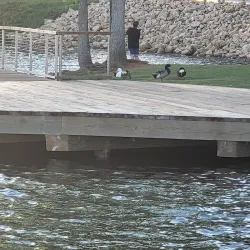 Harris Lake Park - Carrollton