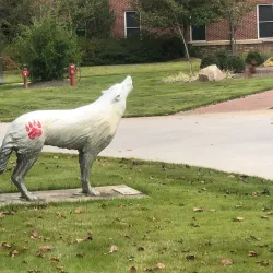 University of West Georgia - Carrollton