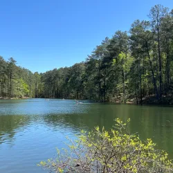 Allatoona Lake - Cartersville