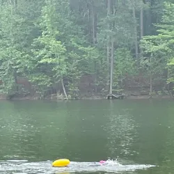 Allatoona Lake - Cartersville