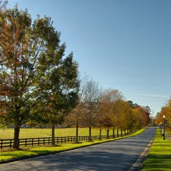 Berry College - Cartersville