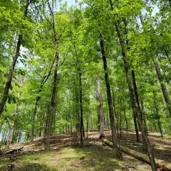 Red Top Mountain State Park - Cartersville