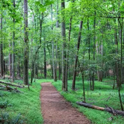Red Top Mountain State Park - Cartersville