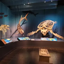 Tellus Science Museum - Cartersville