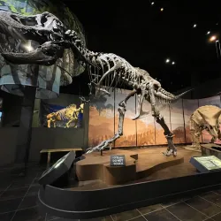 Tellus Science Museum - Cartersville