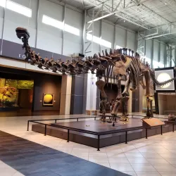 Tellus Science Museum - Cartersville