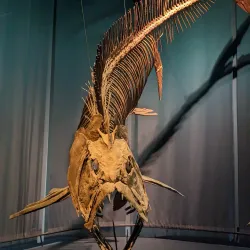 Tellus Science Museum - Cartersville