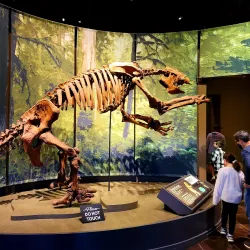 Tellus Science Museum - Cartersville