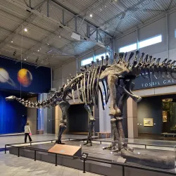 Tellus Science Museum - Cartersville