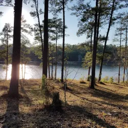 Flat Rock Park - Columbus