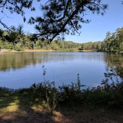 Flat Rock Park - Columbus