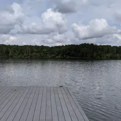 Black Shoals Lake and Park - Conyers