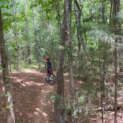 Georgia International Horse Park - Conyers