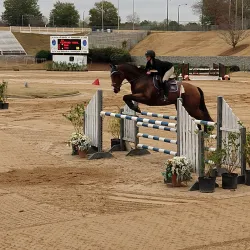 Georgia International Horse Park - Conyers