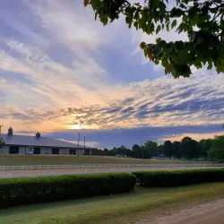 Georgia International Horse Park - Conyers
