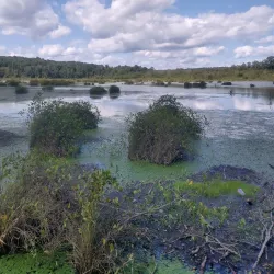 Nancy Creek Trail - Conyers