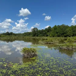 Nancy Creek Trail - Conyers