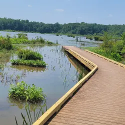 Nancy Creek Trail - Conyers