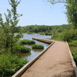 Nancy Creek Trail - Conyers