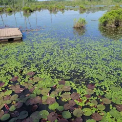 Nancy Creek Trail - Conyers