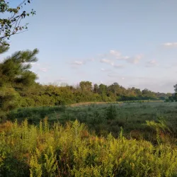 Big Creek Greenway - Cumming