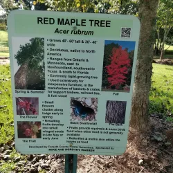 Big Creek Greenway - Cumming