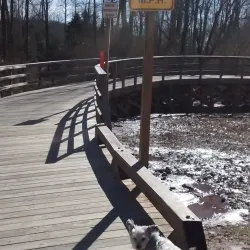 Big Creek Greenway - Cumming