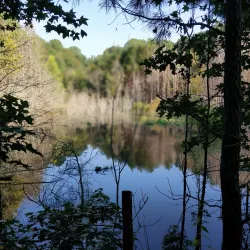Big Creek Greenway - Cumming