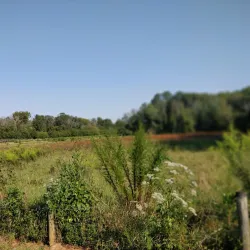 Big Creek Greenway - Cumming