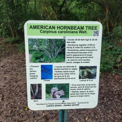 Big Creek Greenway - Cumming