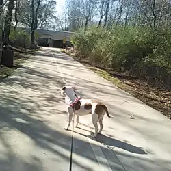 Big Creek Greenway - Cumming