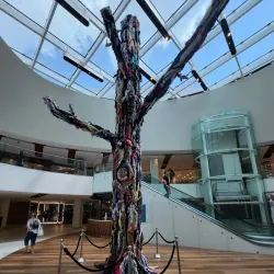 Lake Lanier - Cumming