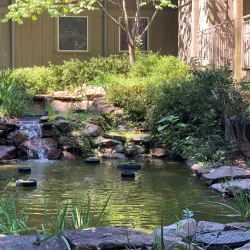 Sawnee Mountain Preserve - Cumming