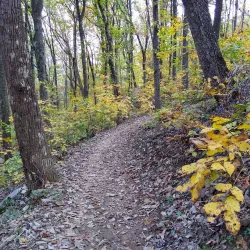 Sawnee Mountain Preserve - Cumming