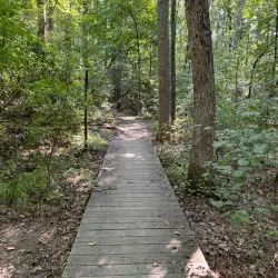 Sawnee Mountain Preserve - Cumming